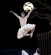 Matthew Bourne's SWAN LAKE. 15-12-2009