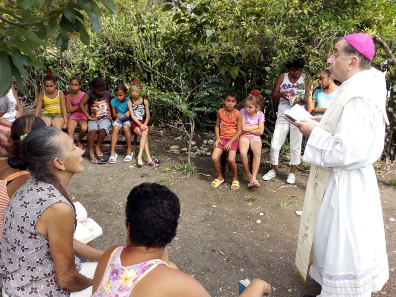 Delpini in un villaggio rurale a Palma Soriano