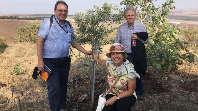 Viaggio a Gerusalemme sulle orme di Martini