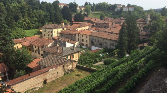 Foto vino Il Collegiata_09a