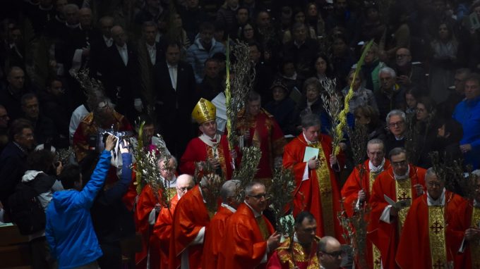 pontificale palme 2019 (B)