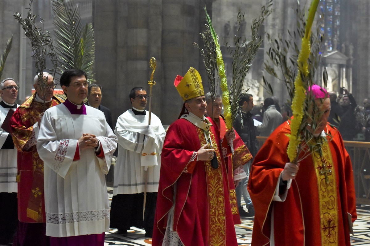 pontificale palme 2019 (E)