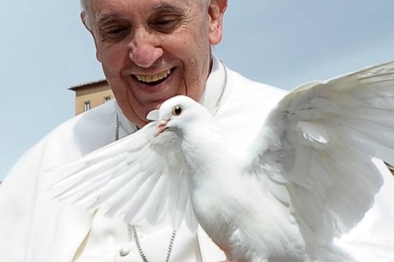 Pope_Francis_with_dove_Pentecost_2016_Instagram-810x385 Cropped
