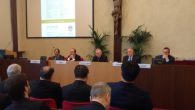 convegno cattolica parolin 3