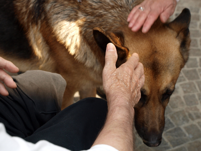 Pet_therapy_foto_sito