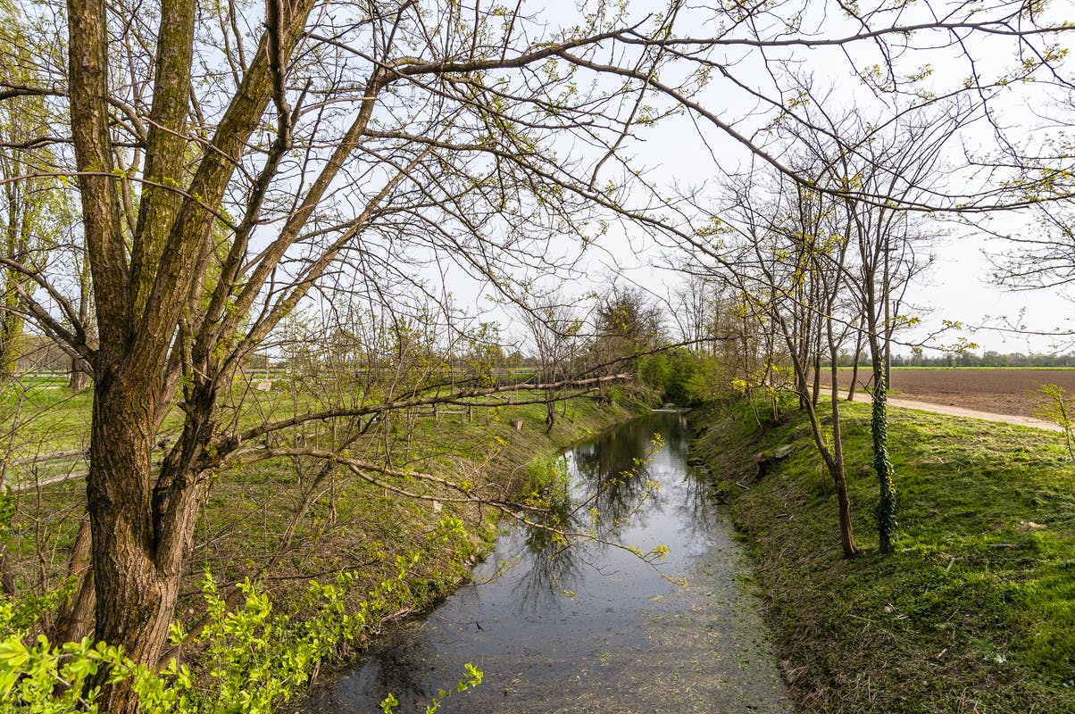 35384_marcite-di-cascina-linterno