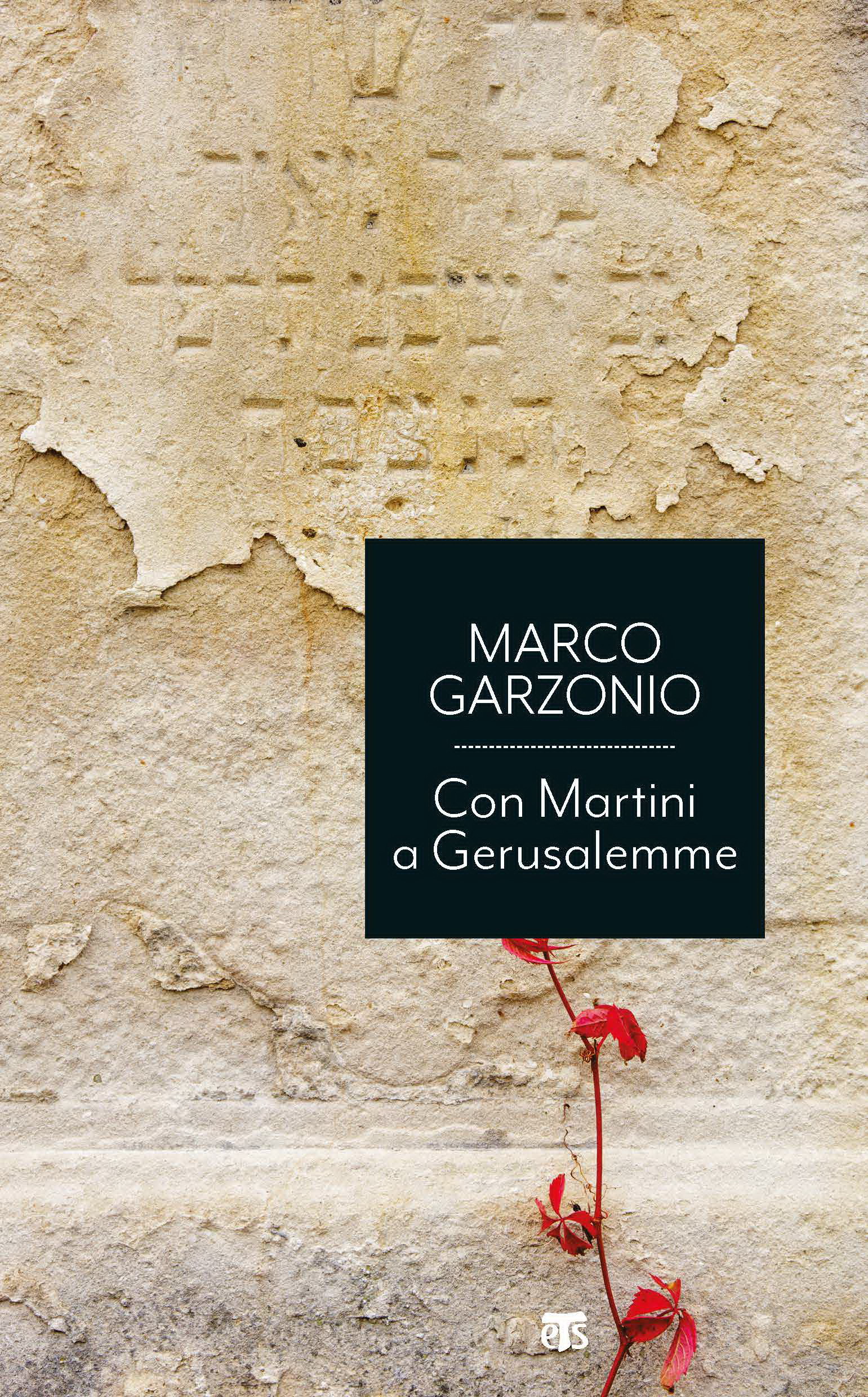 Cover_Garzonio_economici