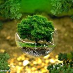 sostenibilità ambientale