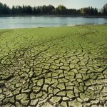 siccità (foto Siciliani / Gennari / Sir)