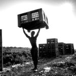 Migrante al lavoro (foto Contrasto)